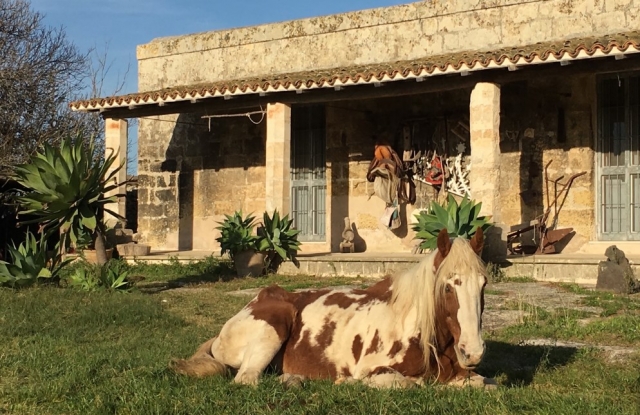 Masseria Fossa